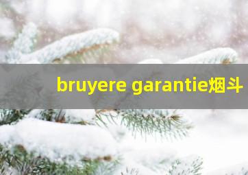 bruyere garantie烟斗